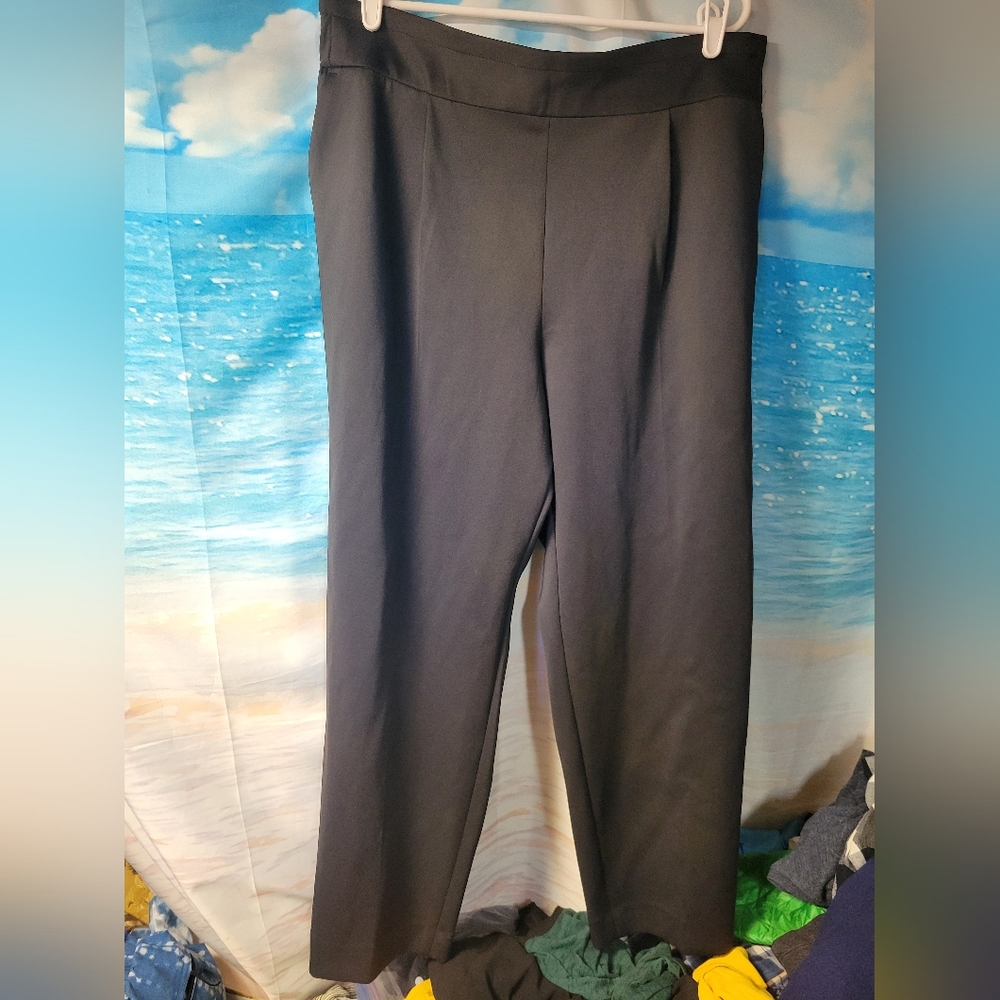 Express NWOT Black Pants Stretchy Ankle High Rise Waist Ladies Size XL